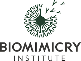 Biomimicry Institute logo showing a dandelion with some seeds blowing away above black text