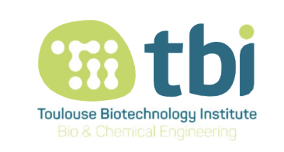 Toulouse Biotechnology Institute logo