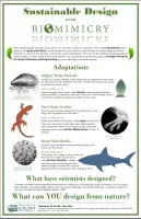 Thumbnail of the poster