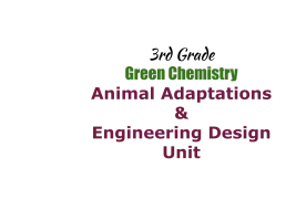 3rd Grade Green Chemistry: Animal Adaptations &Engineering Design logo