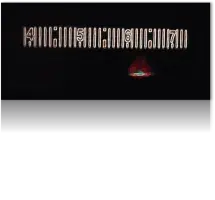 LED spectroscope image