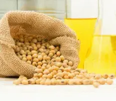 Soybean and soybean oil