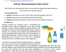 Screen Capture of the Activity