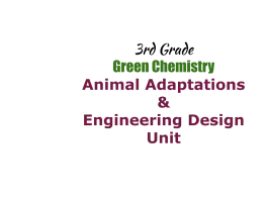 3rd Grade Animal Adaptations and Engineering Design
