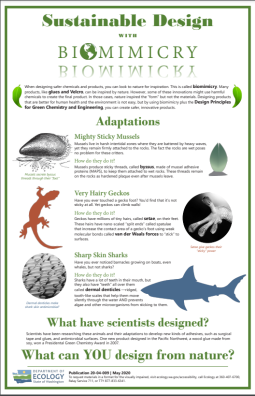 Thumbnail of the poster