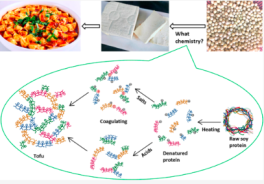 graphical abstract for the article showing images progressing from soy to tofu and a chemical representation of protein denaturation and coagulation