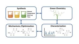 figure shows four cartoon boxes, the first shows beakers illustrating sustainable synthesis, the second shows green molecule representing green chemistry optimization, the third shows a hypothetical mechanism illustrating the importance of theory and practice, and the fourth shows a spectra illustrating the importance of characterization and instrumental analysis