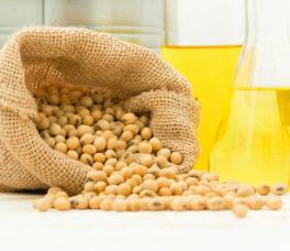 Soybean and soybean oil