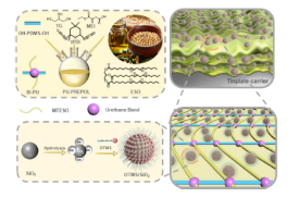 Preparation process of the composite coating films