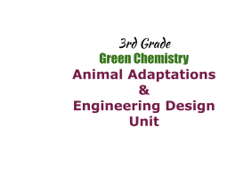 3rd Grade Animal Adaptations and Engineering Design