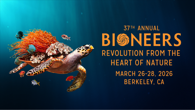 Graphic for the 37th annual Bioneers conference, “Revolution From the Heart of Nature,” March 26–28, 2026, Berkeley, CA, featuring an underwater scene with a sea turtle and fish.