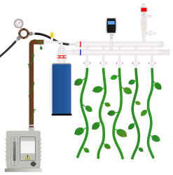 A Schlenk line with green vines as tubing. Image courtesy of Dr.Andryj Borys