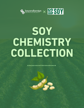 soy chemistry curriculum cover page with white text on a green background with a picture of soybeans below it