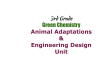 A slide that reads 3rd Grade Green Chemistry: Animal Adaptations &Engineering Design