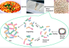 graphical abstract for the article showing images progressing from soy to tofu and a chemical representation of protein denaturation and coagulation